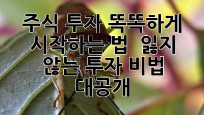 주식 투자, 똑똑하게 시작하는 법 📈💰: 잃지 않는 투자 비법 대공개!