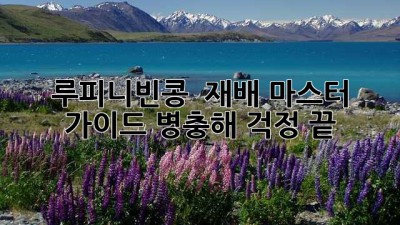 루피니빈콩 🌱 재배 마스터 가이드: 병충해 걱정 끝! 🛡️