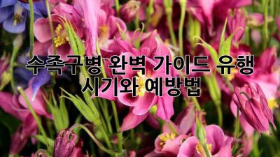 수족구병 완벽 가이드: 유행 시기와 예방법